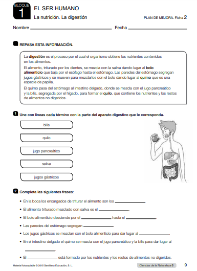 Ejercicios Ciencias Naturales 6 Primaria Santillana soluciones PDF 