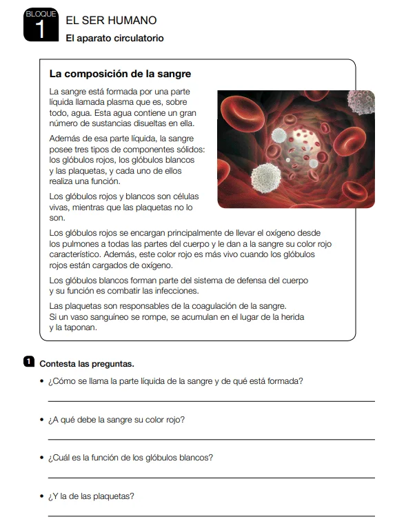 Fichas de Refuerzo y Ampliacion Ciencias Naturales 4 Primaria Santillana PDF