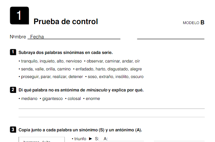 Prueba de Control Lengua 5 Primaria Santillana PDF