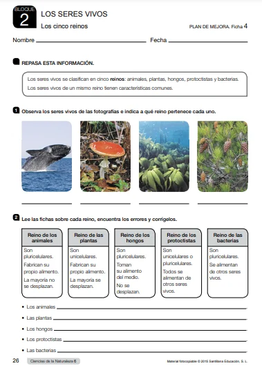 Refuerzo y Ampliacion Ciencias Naturales 6 Primaria Santillana PDF