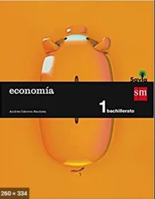 Solucionario Economia 1 Bachillerato SM 